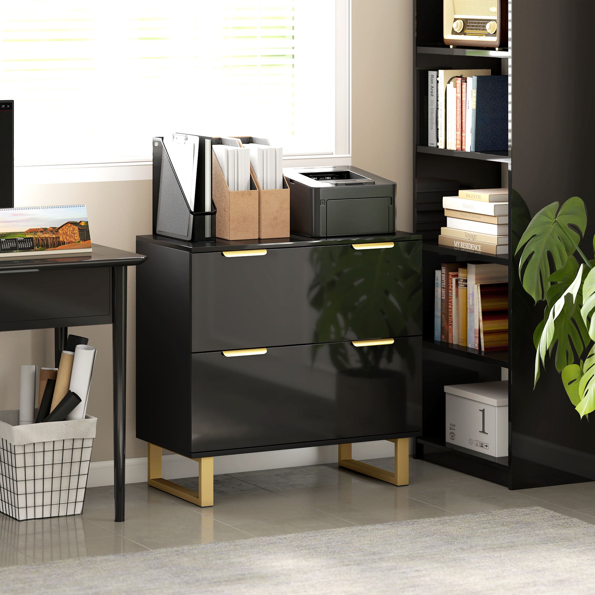Lateral File Cabinet with 2 Drawers, Modern Filing Cabinet for Letter/A4/Legal Size Files, High Gloss Black